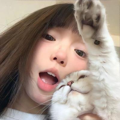 野良猫洛克:女番长